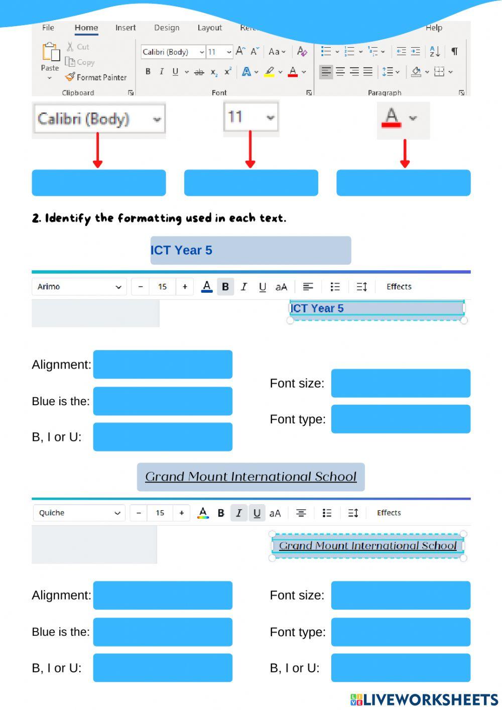 Formatting Text in MS Word