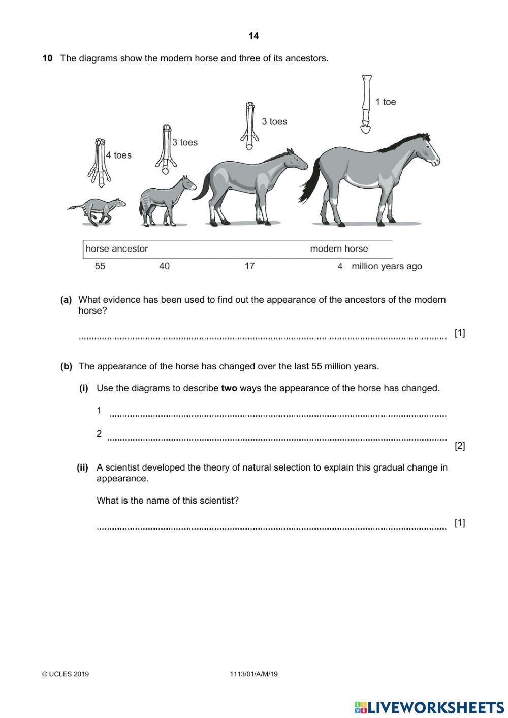 Cambridge Science Checkpoint 2019 - Paper 1 continued