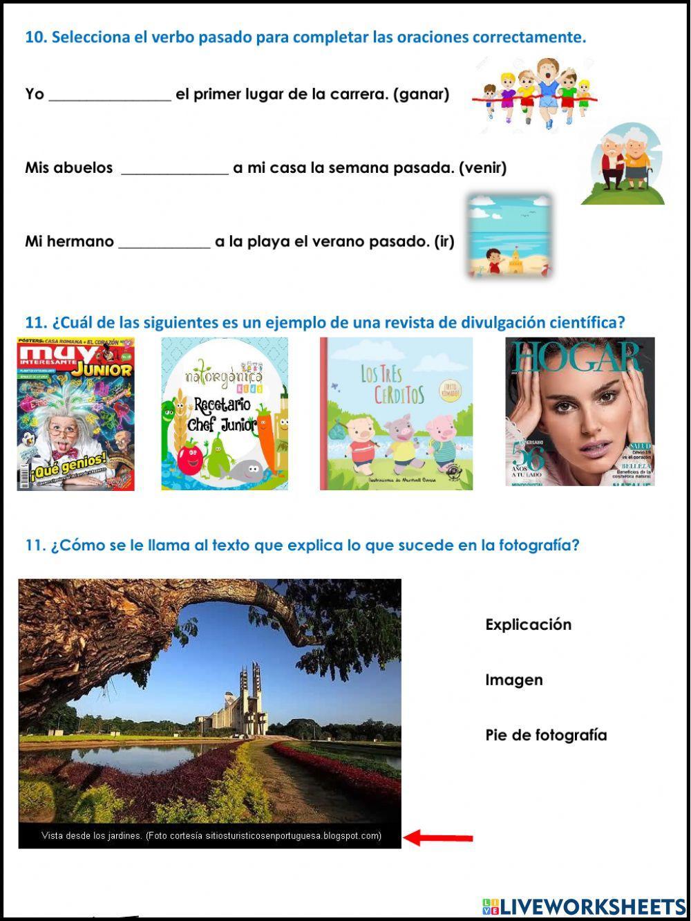 Examen Español II trimestre tercer grado