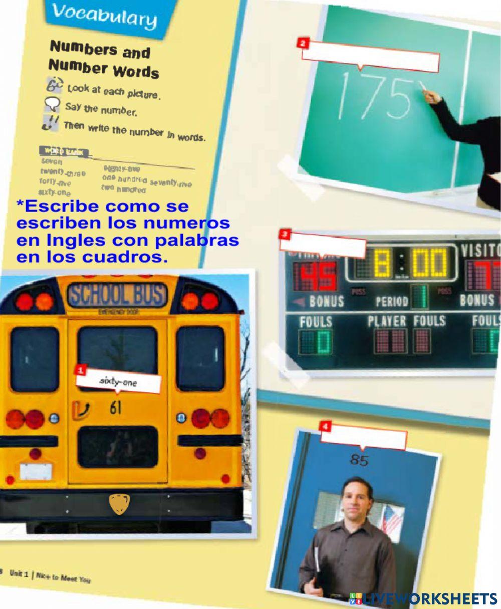 Numbers and Number Words