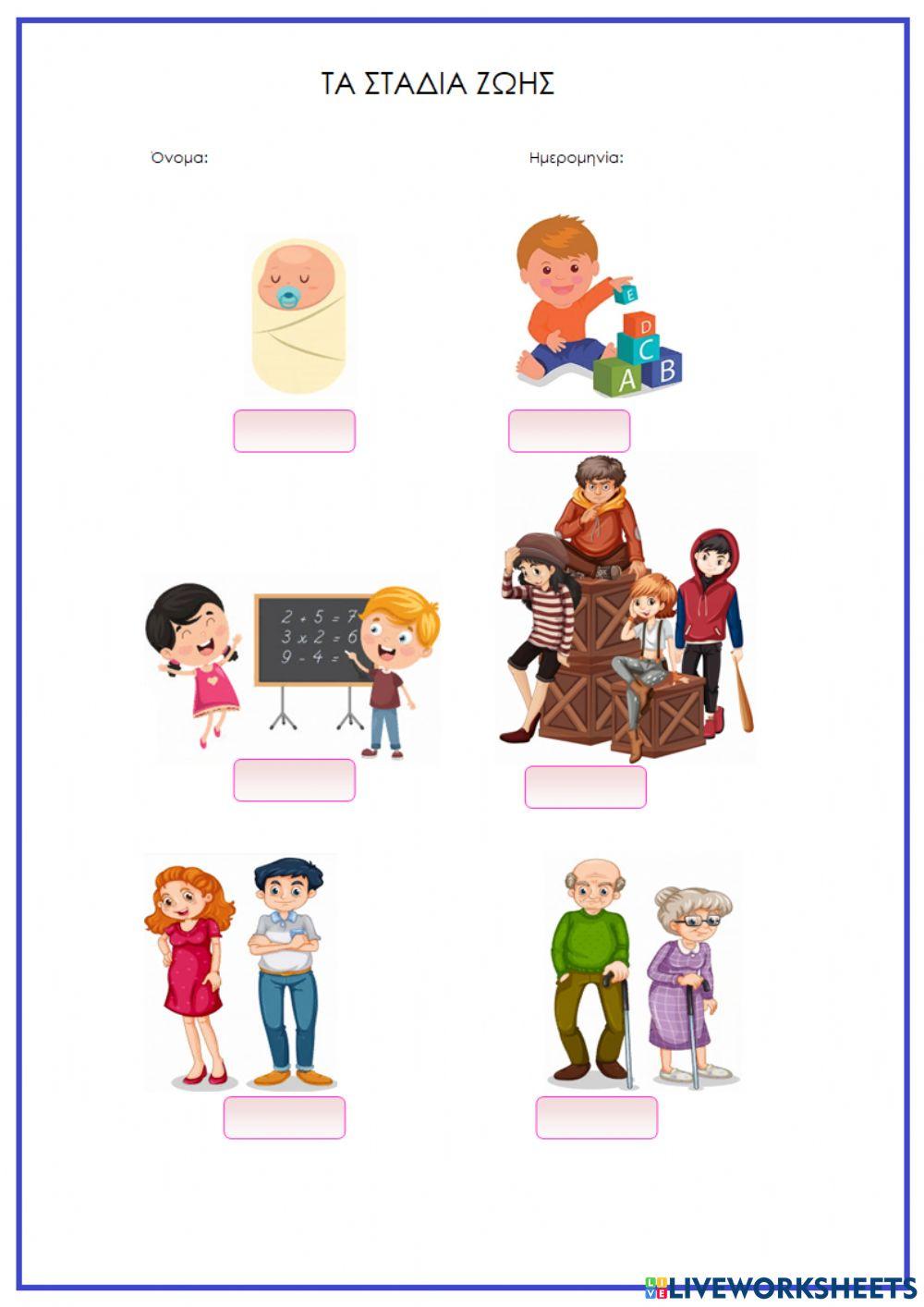 Τα στάδια ζωής