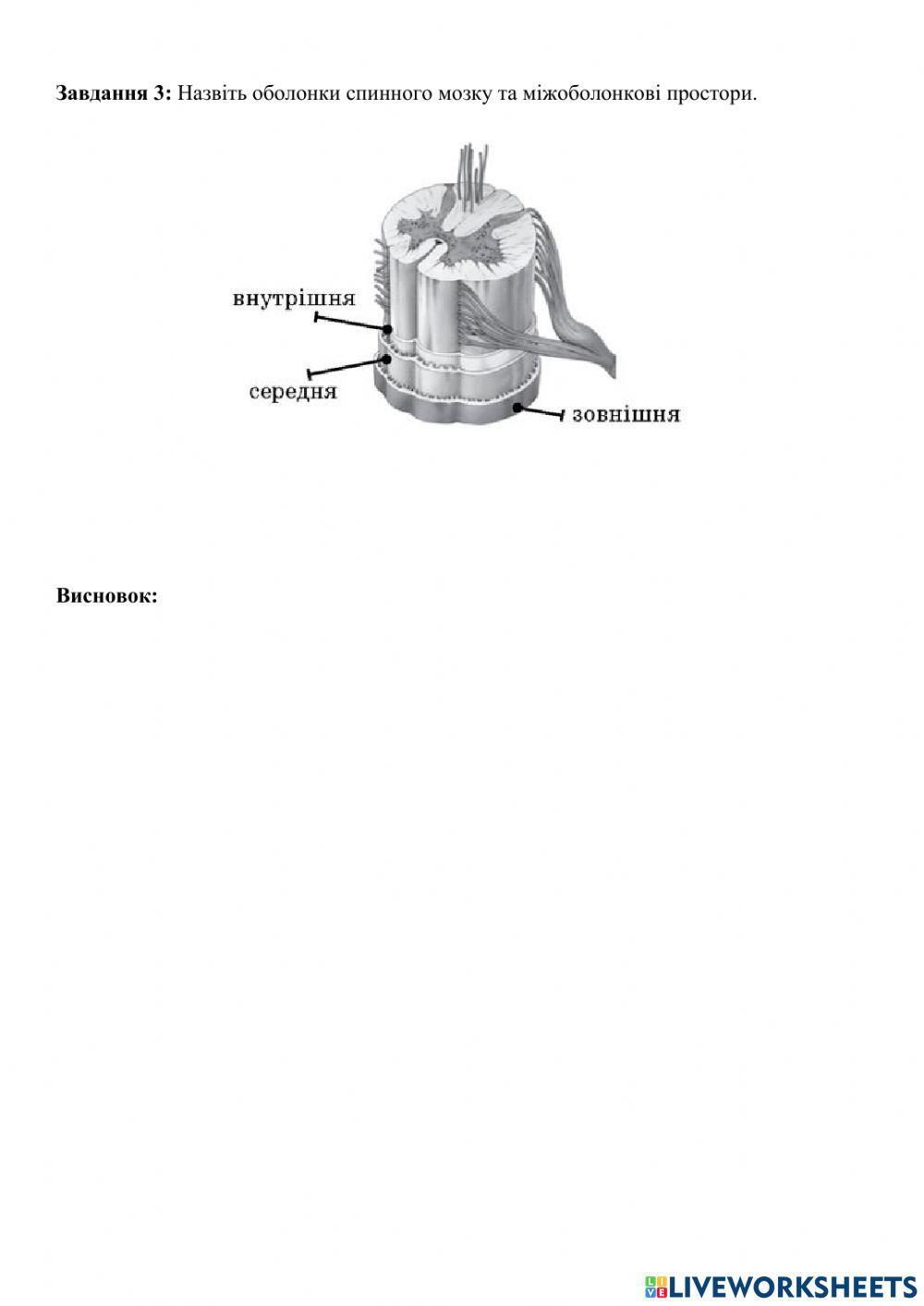 Практичне заняття №17