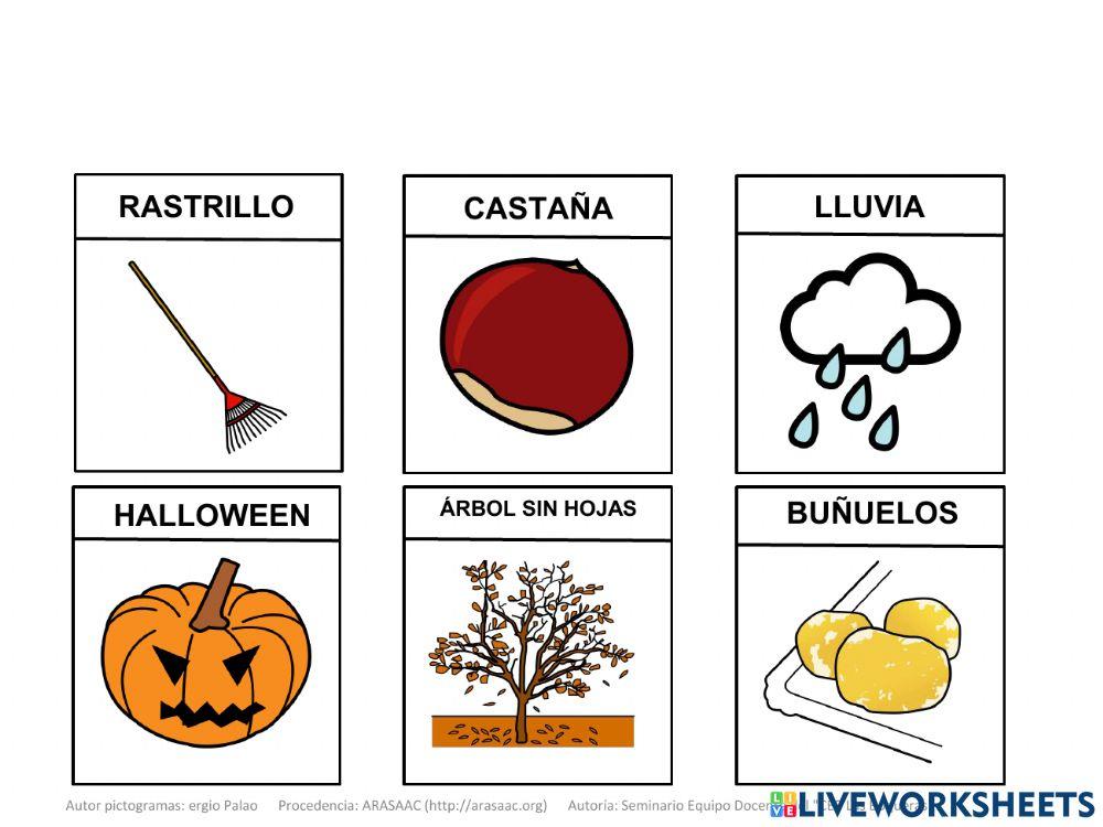 Material TEACCH igualar vocabulario otoño
