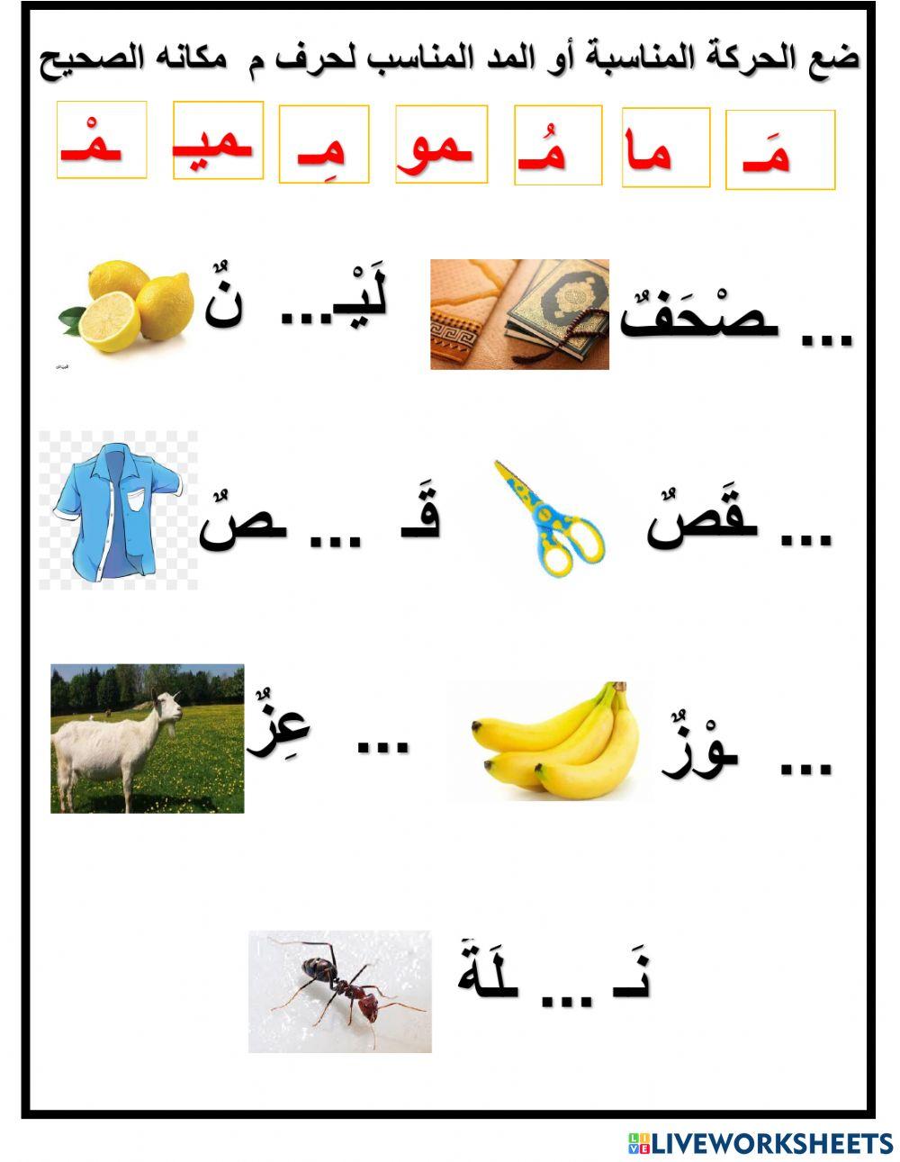 حركات ومدود حرف م