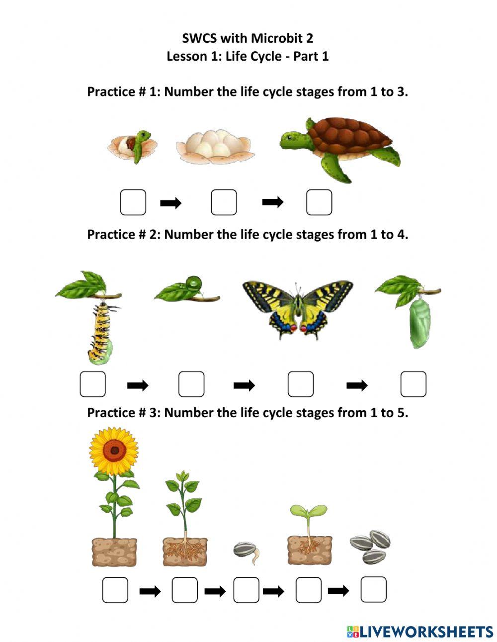 Lesson 1 Part 1 Life Cycle worksheet Live Worksheets