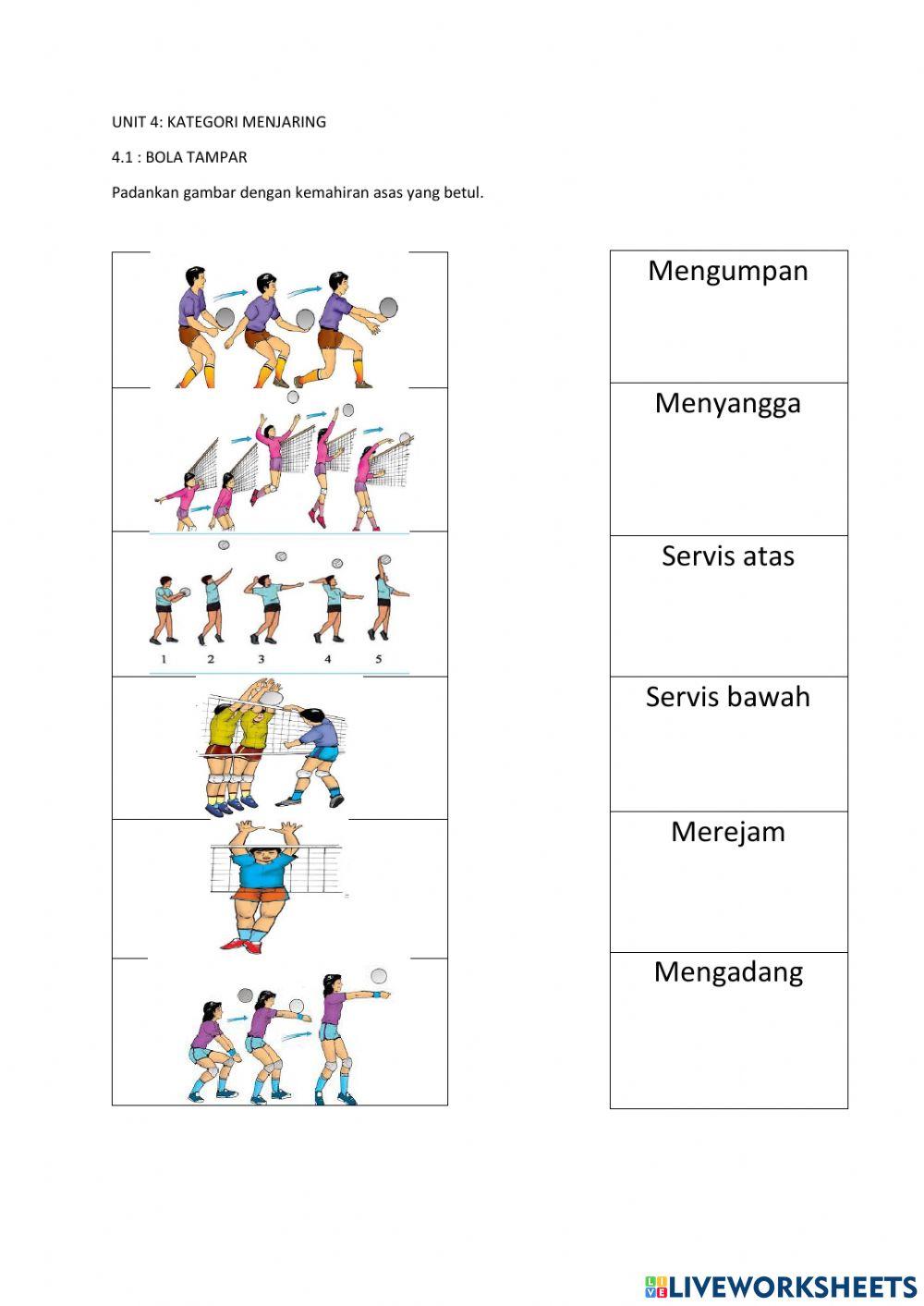 Pjpk asas bola tampar