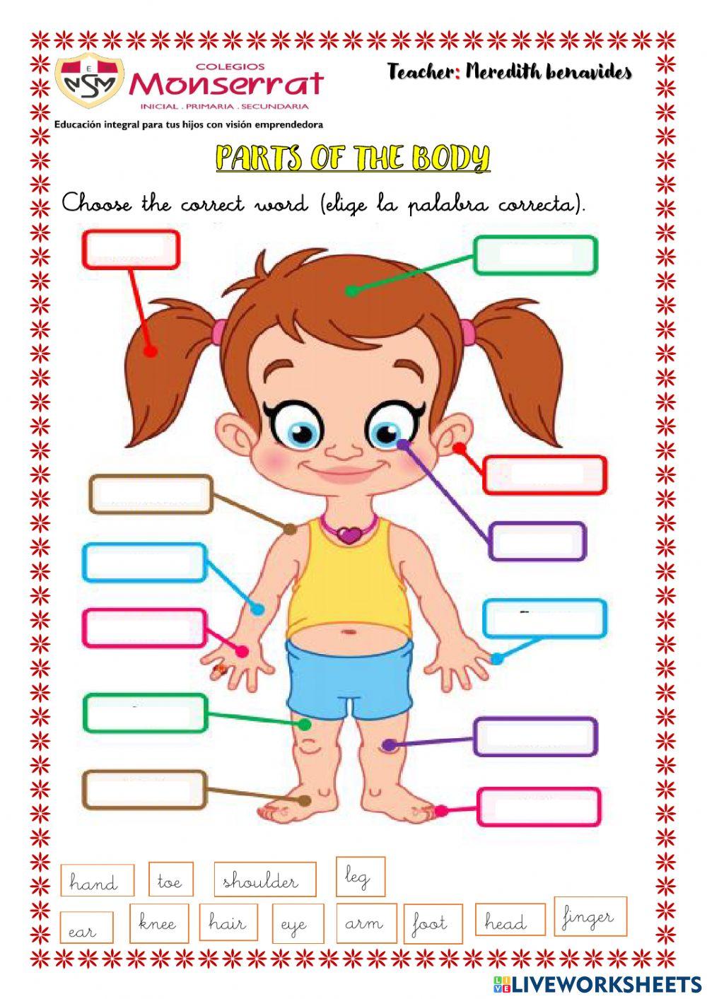 Parts of the body interactive worksheet | Live Worksheets