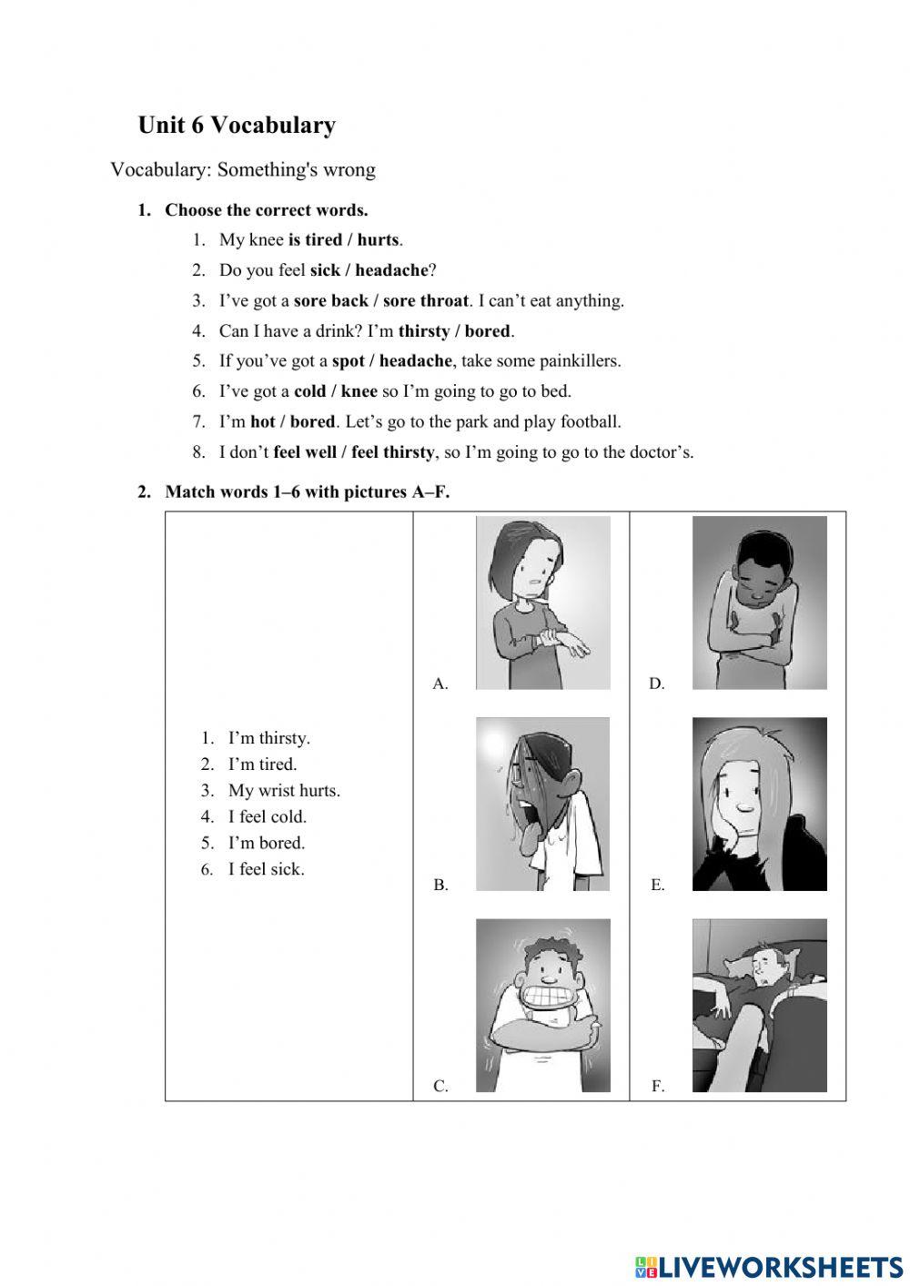 Unit 6- A: Vocabulary