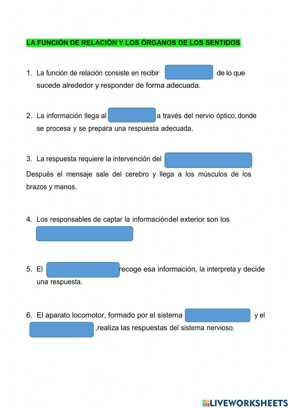 Función de relación y órganos de los sentidos