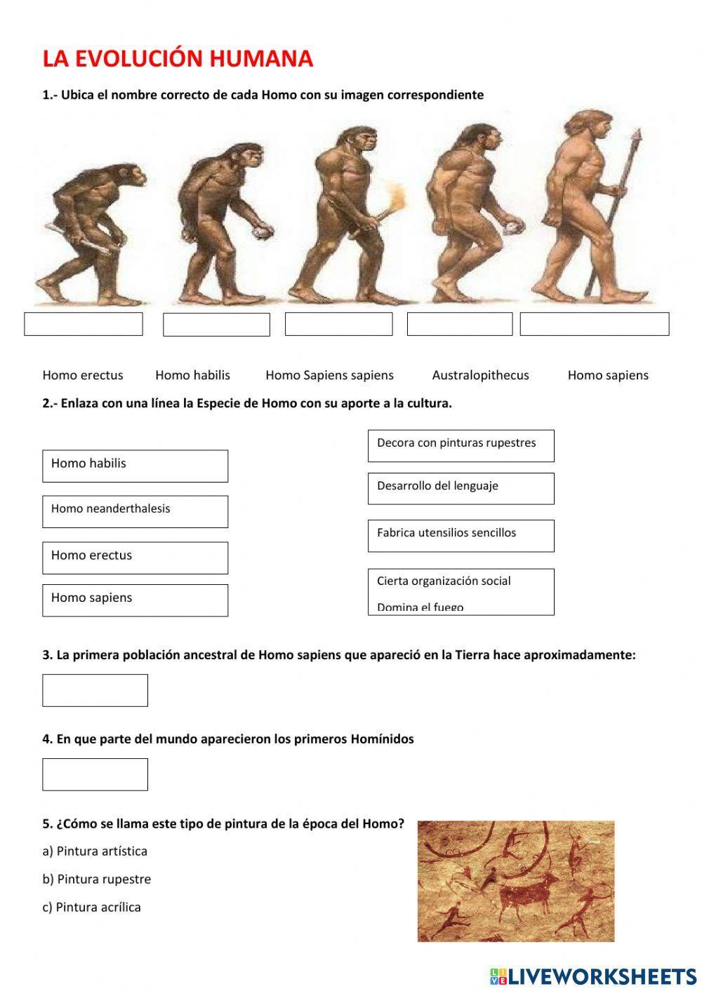 La evolución Humana