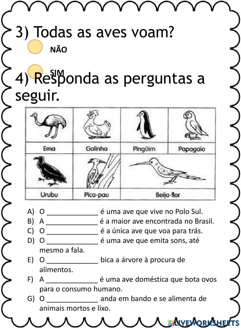 Mamíferos, Anfíbios, Répteis e Aves.