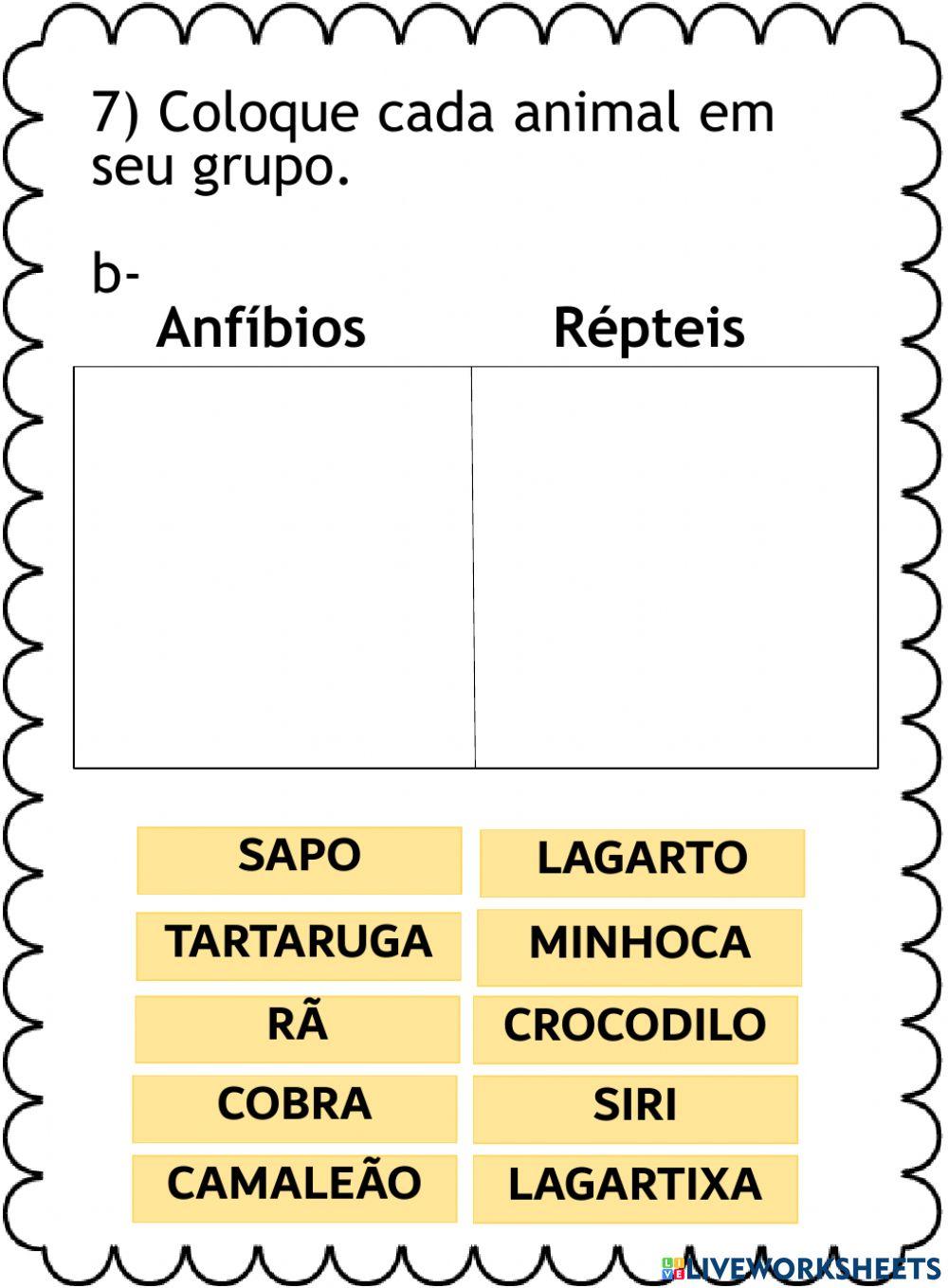Mamíferos, Anfíbios, Répteis e Aves.