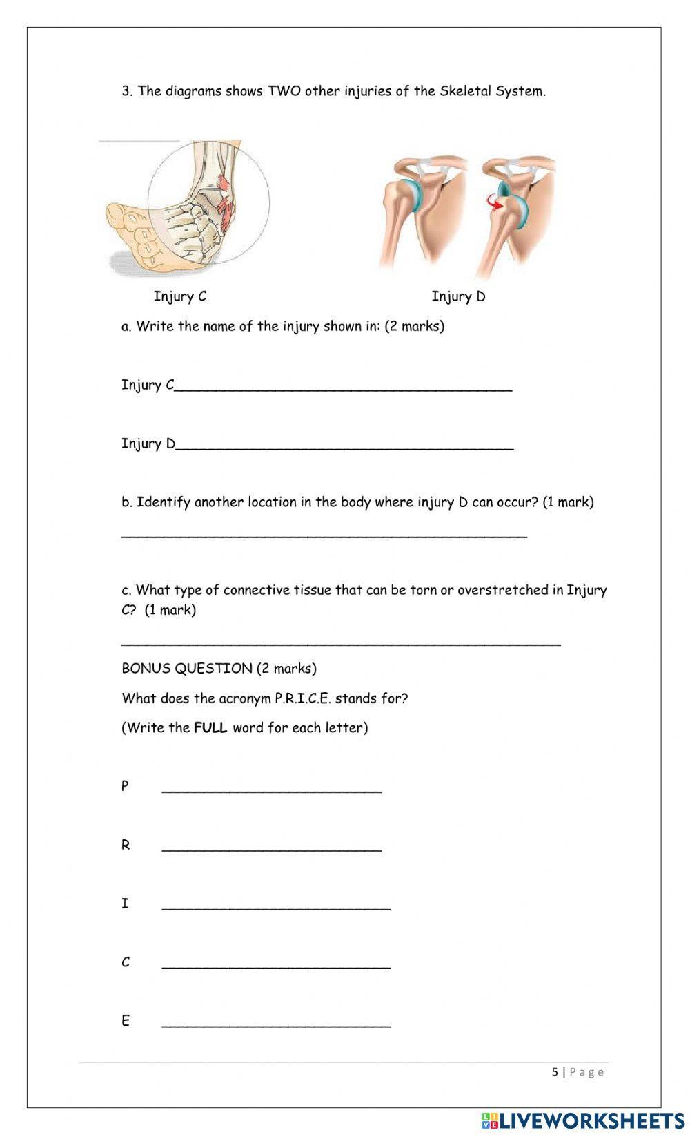 The Skeletal System Review