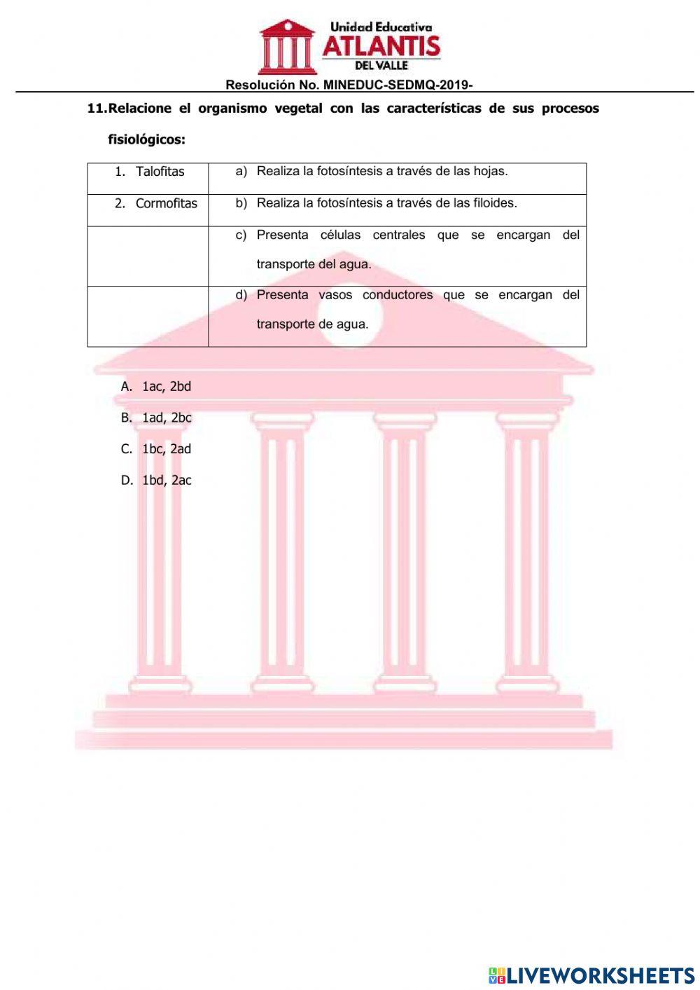 Histología animal y vegetal