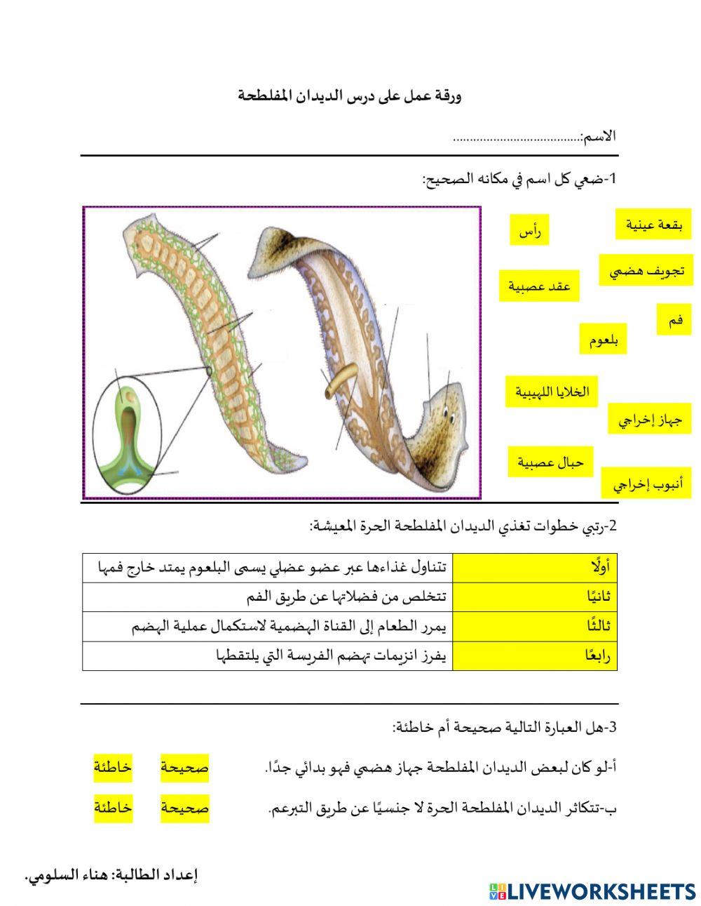 الديدان المفلطحة- هناء السلومي
