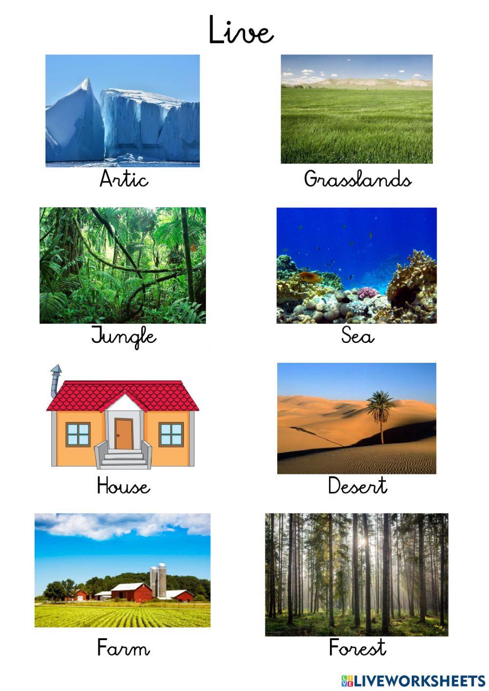 Listen and repeat food and places unit 2