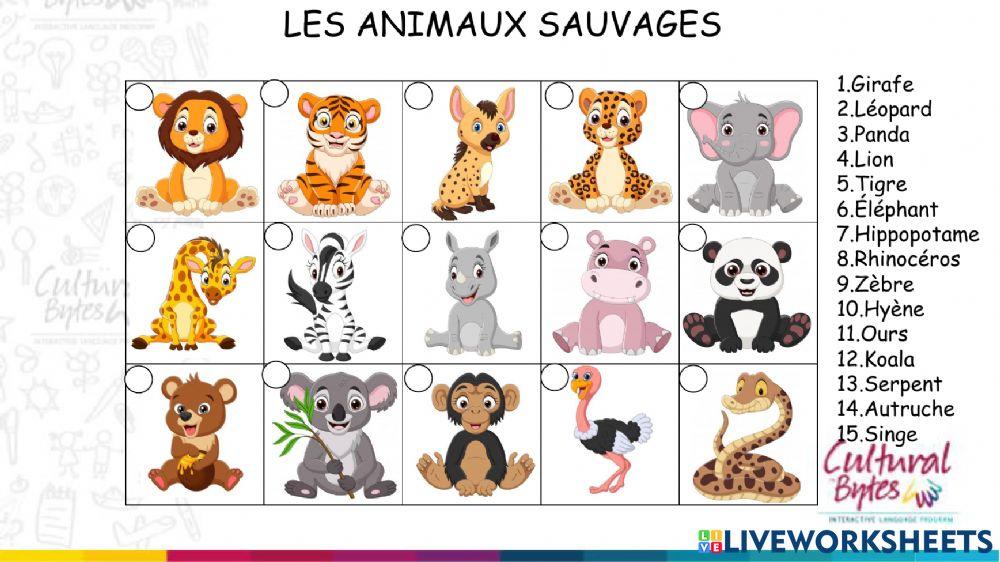 Animaux savauges
