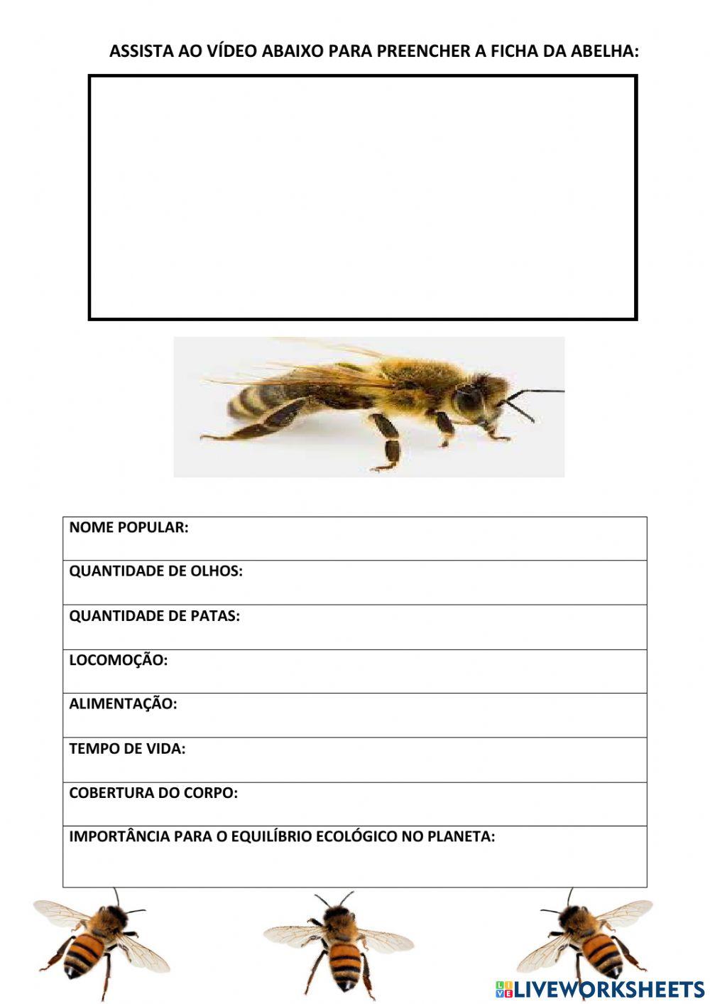 Ficha da abelha