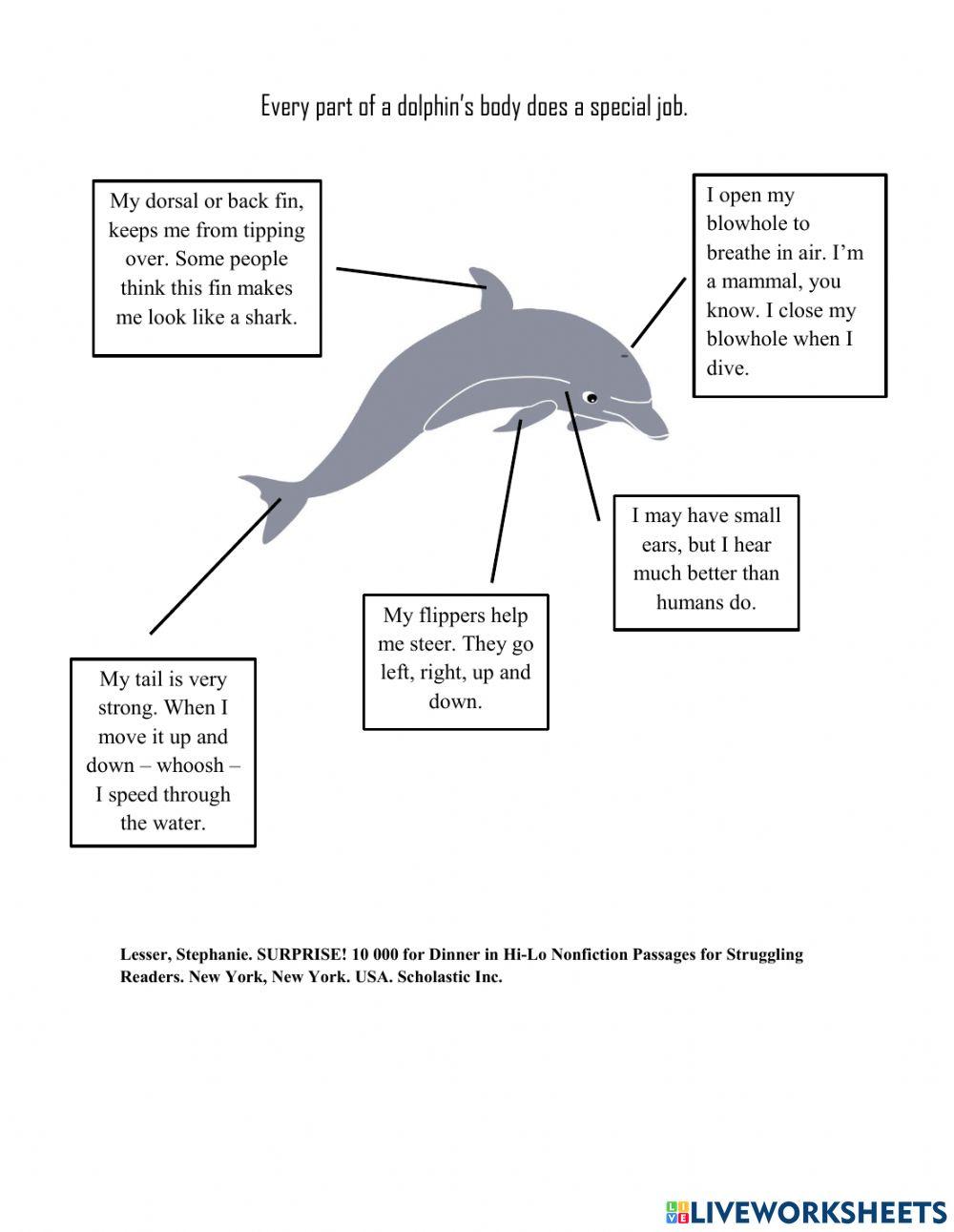 Weekly Test- Comprehension