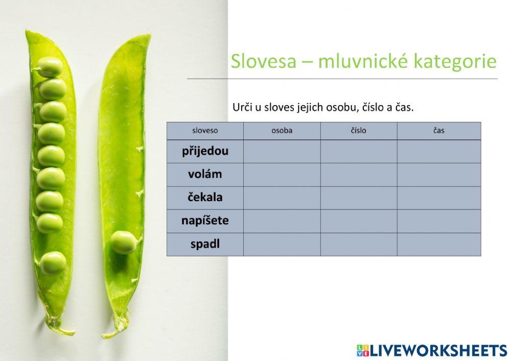 Slovesa - mluvnické kategorie 02