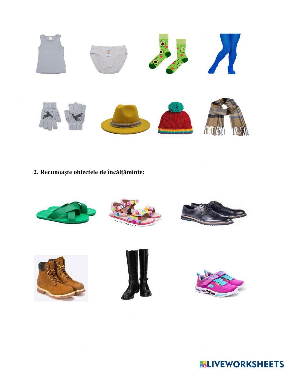 Obiecte de îmbrăcăminte și încălțăminte