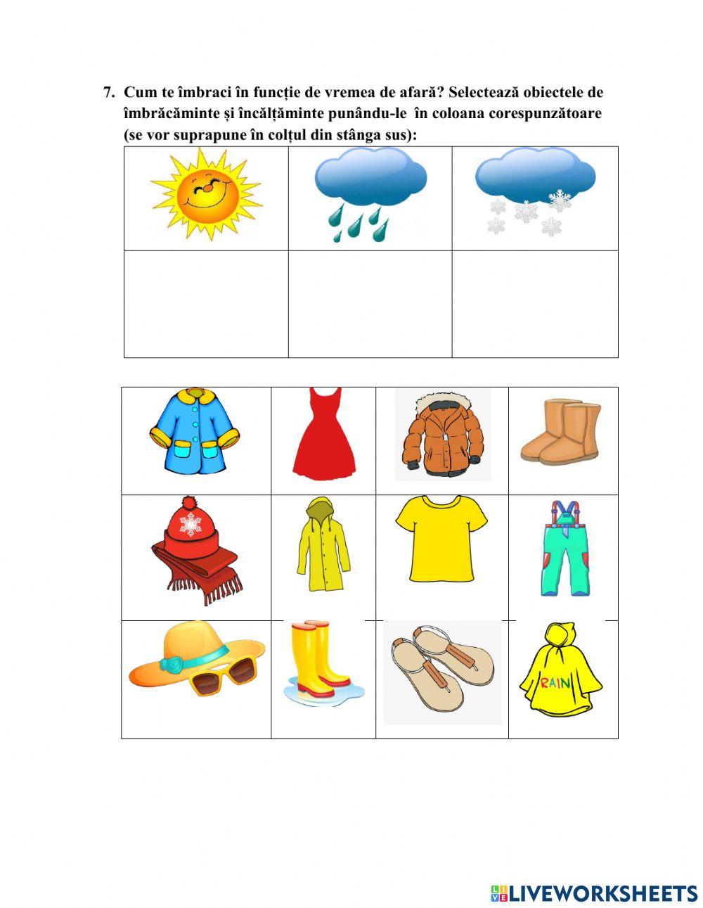 Obiecte de îmbrăcăminte și încălțăminte