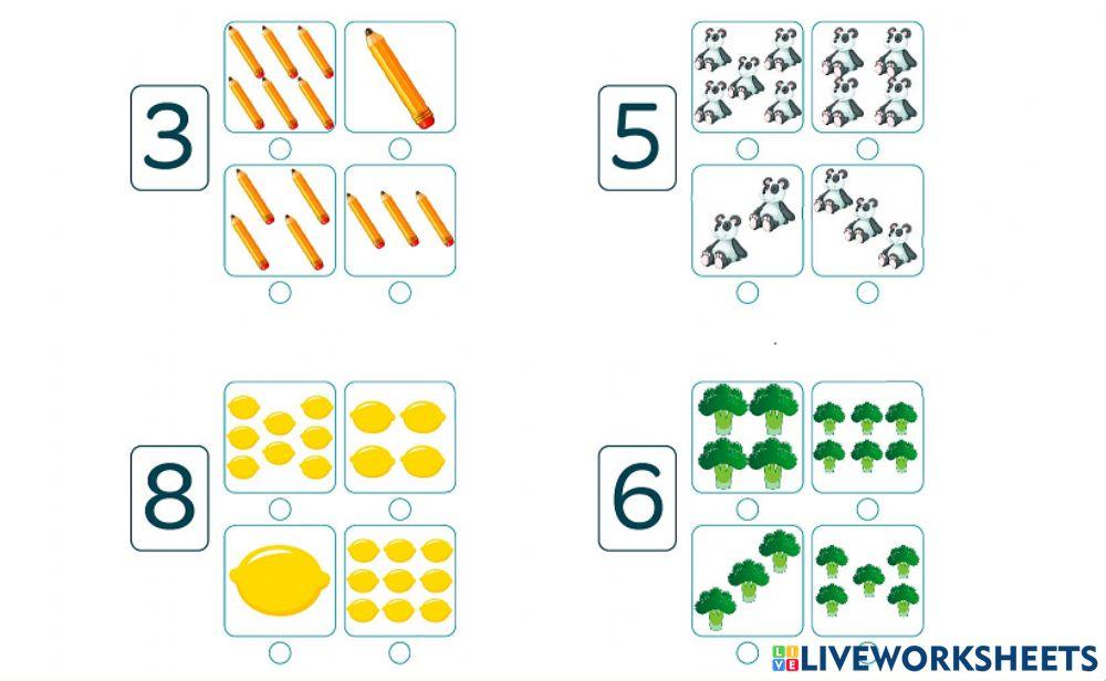 Elige el dibujo correcto