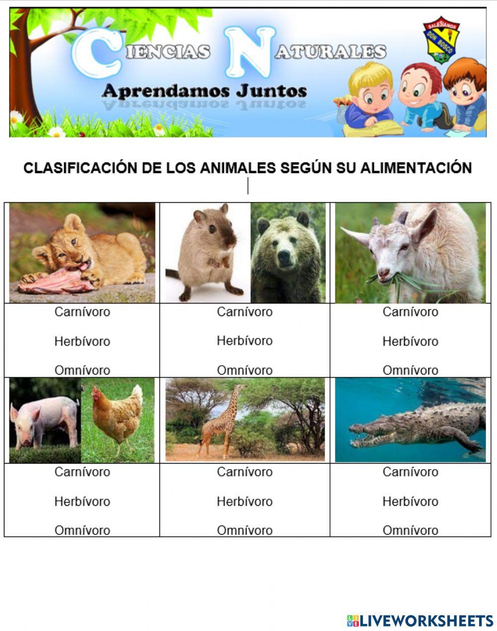 Clasificacion de los animales segun su alimentación