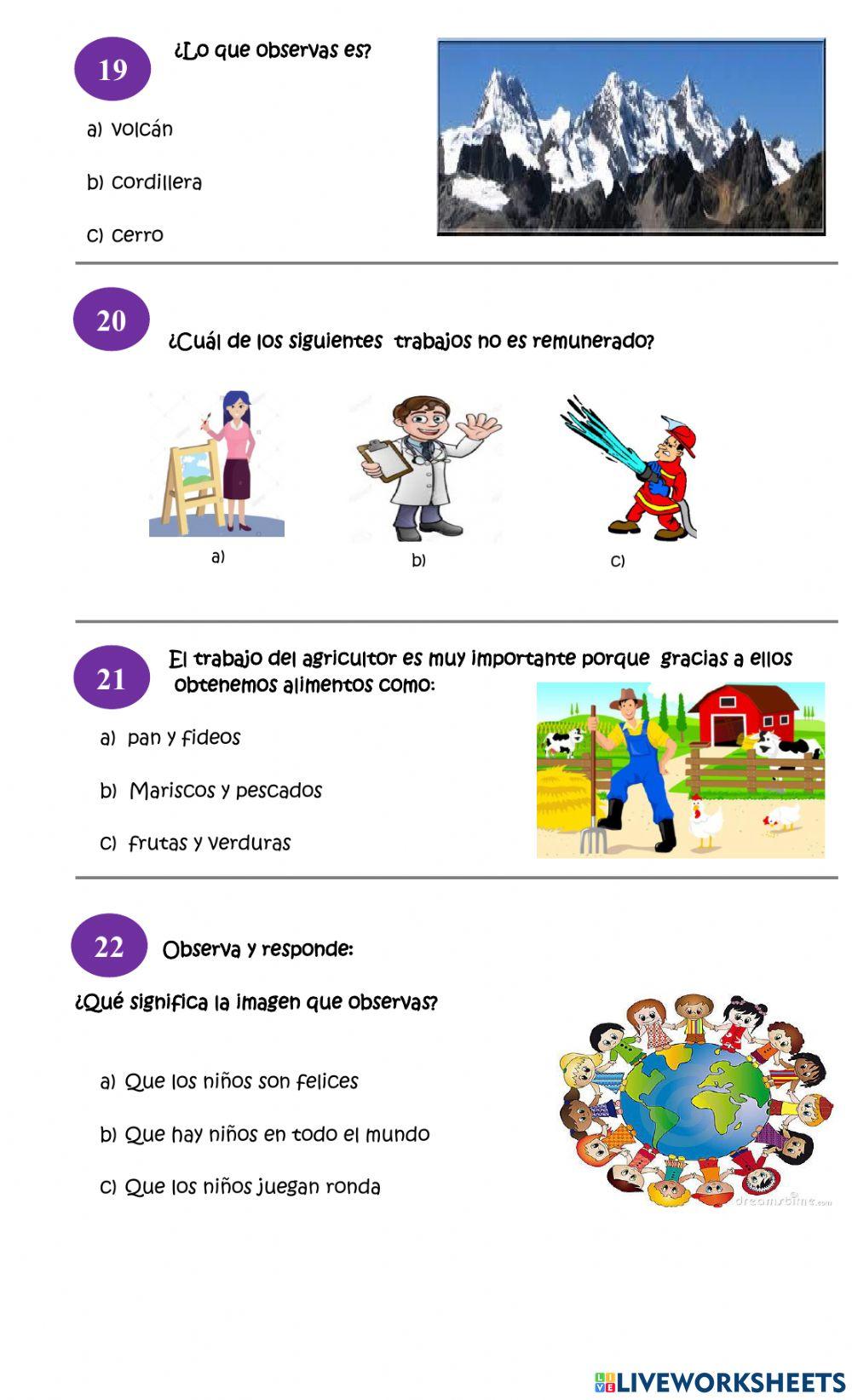 Diagnóstico Historia, Geografía y Ciencias Sociales