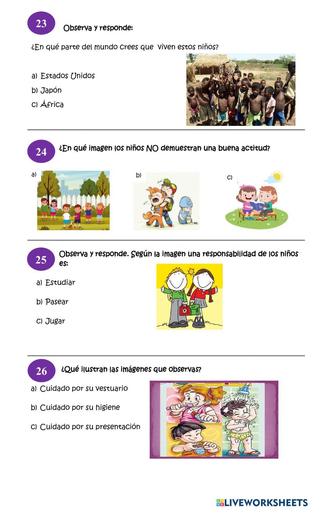 Diagnóstico Historia, Geografía y Ciencias Sociales