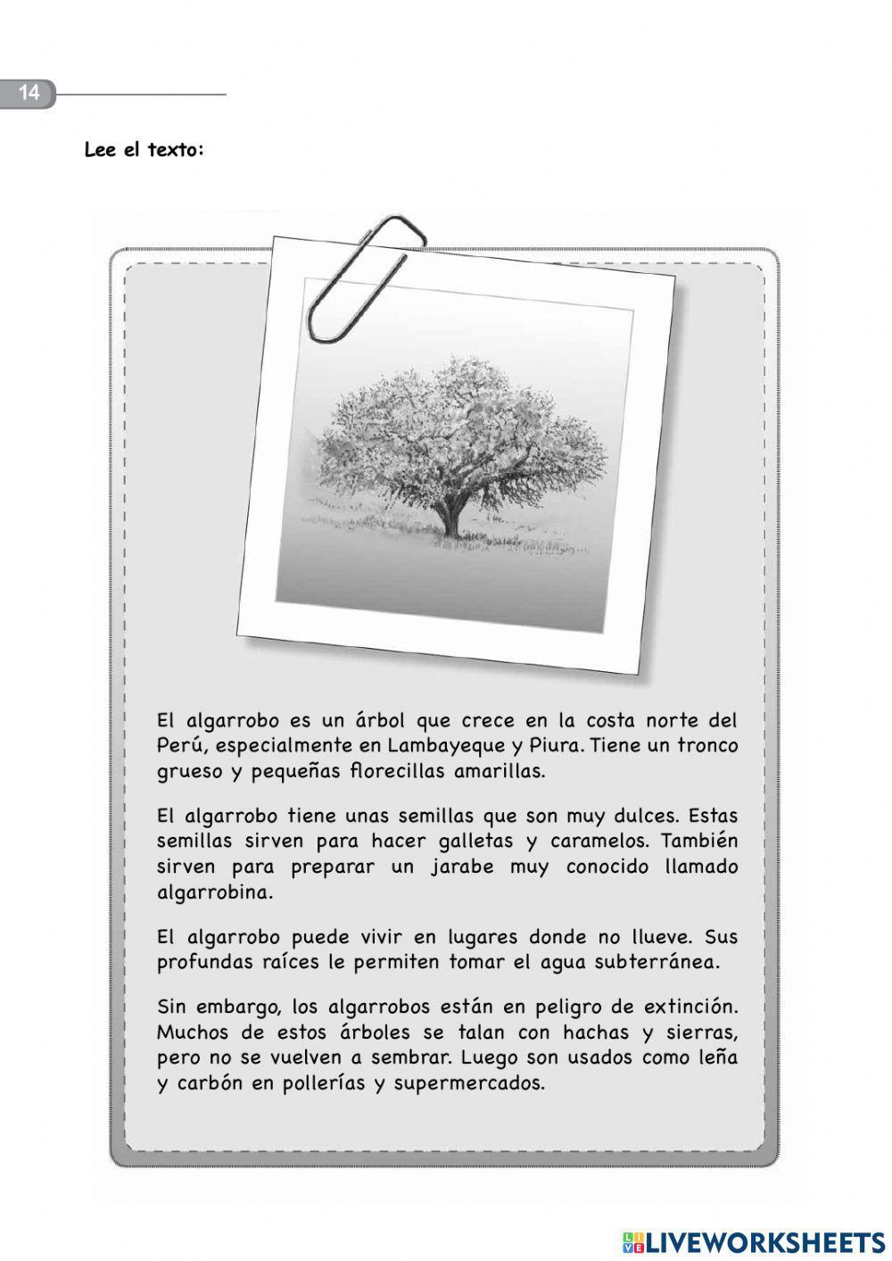 Evaluación de comprensión 02