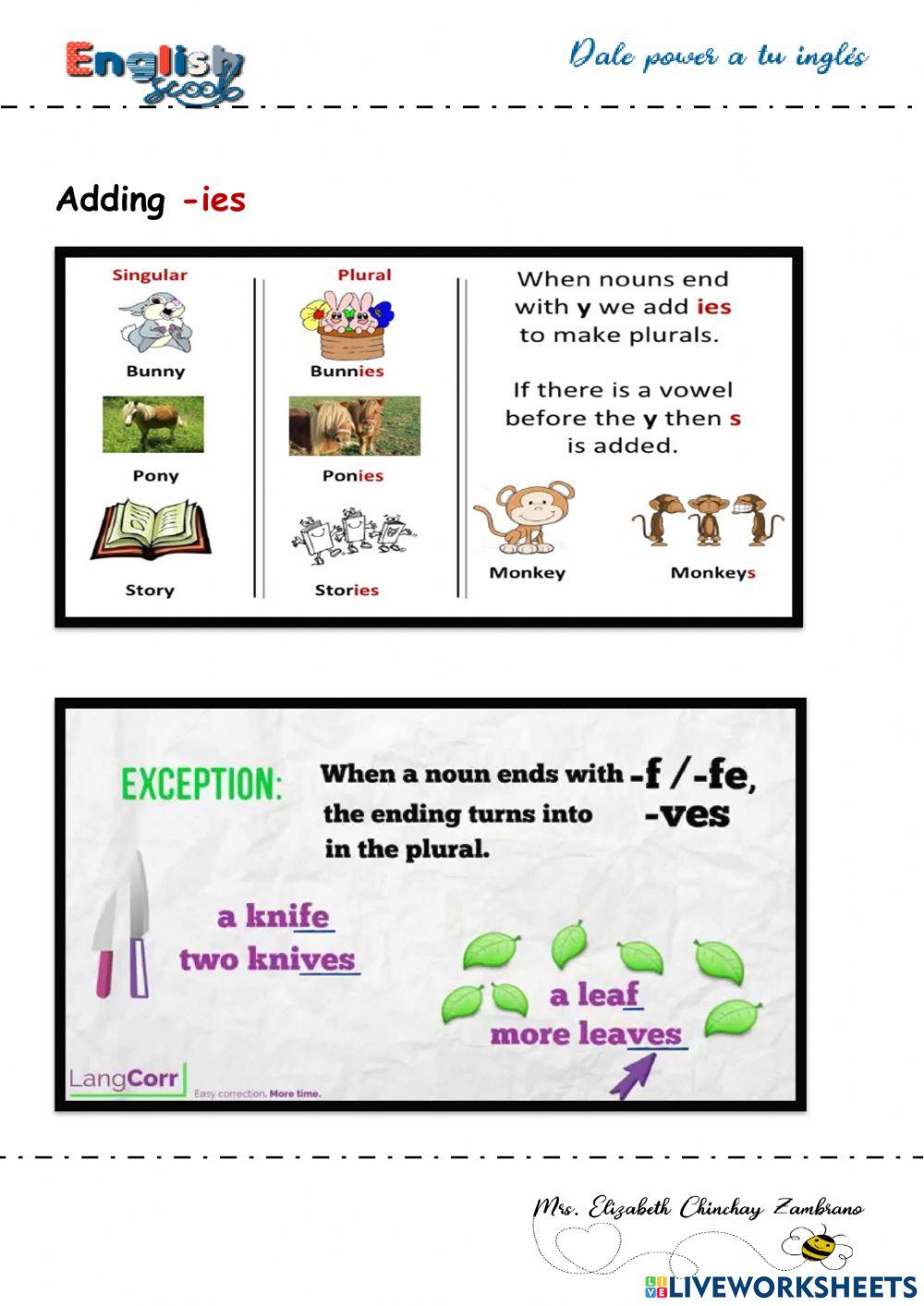 Plural nouns grammar