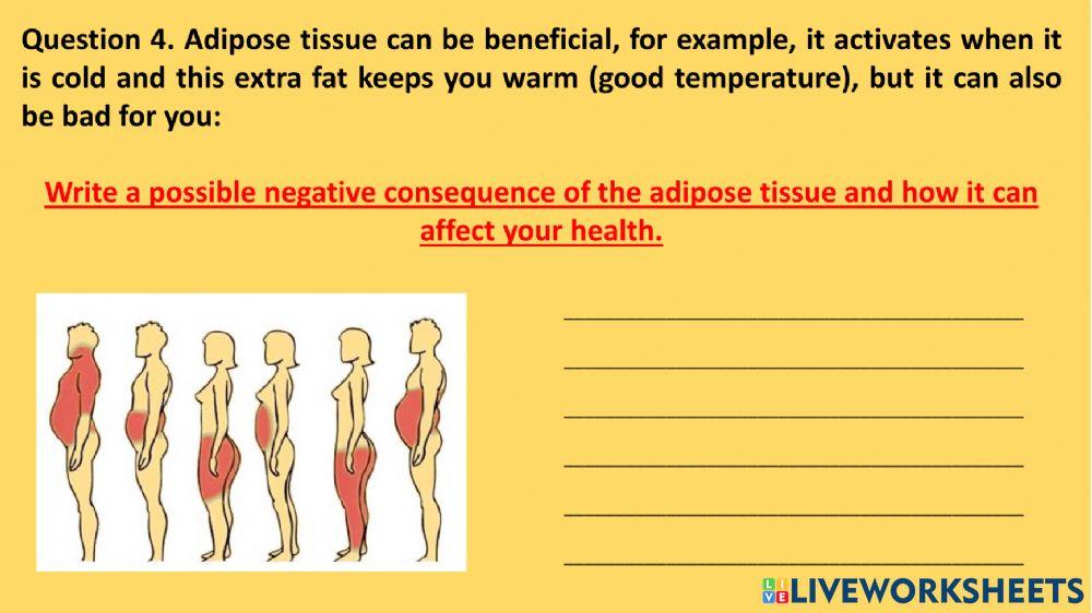 Assessment activity about tissues