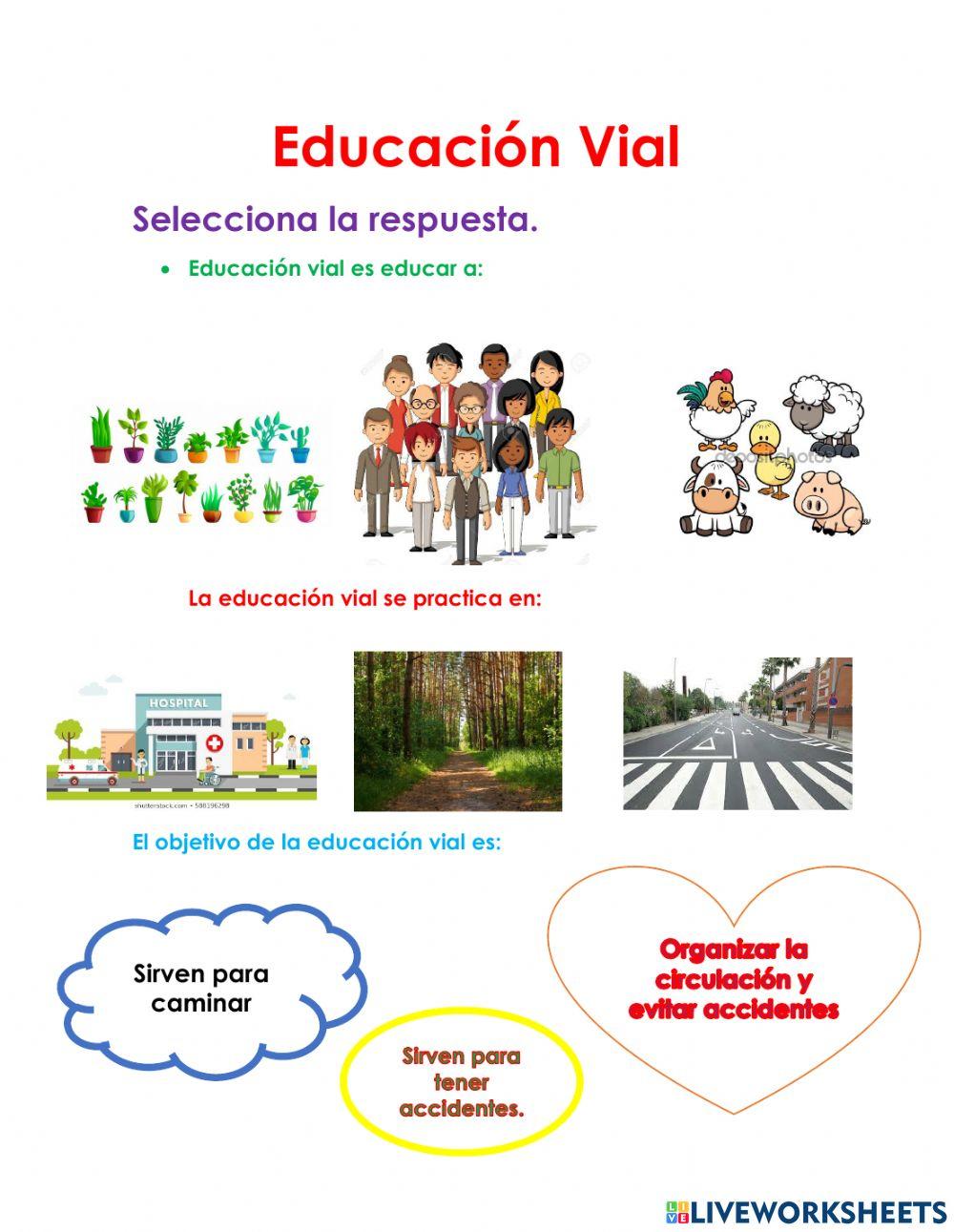 Educación Vial