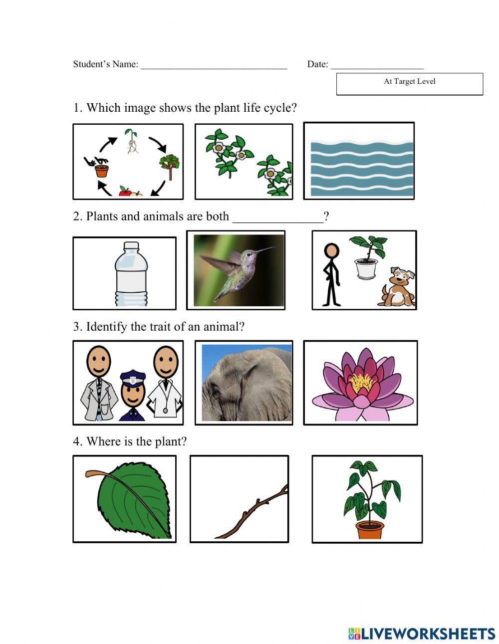 Inherited traits of Animals and Plants L3