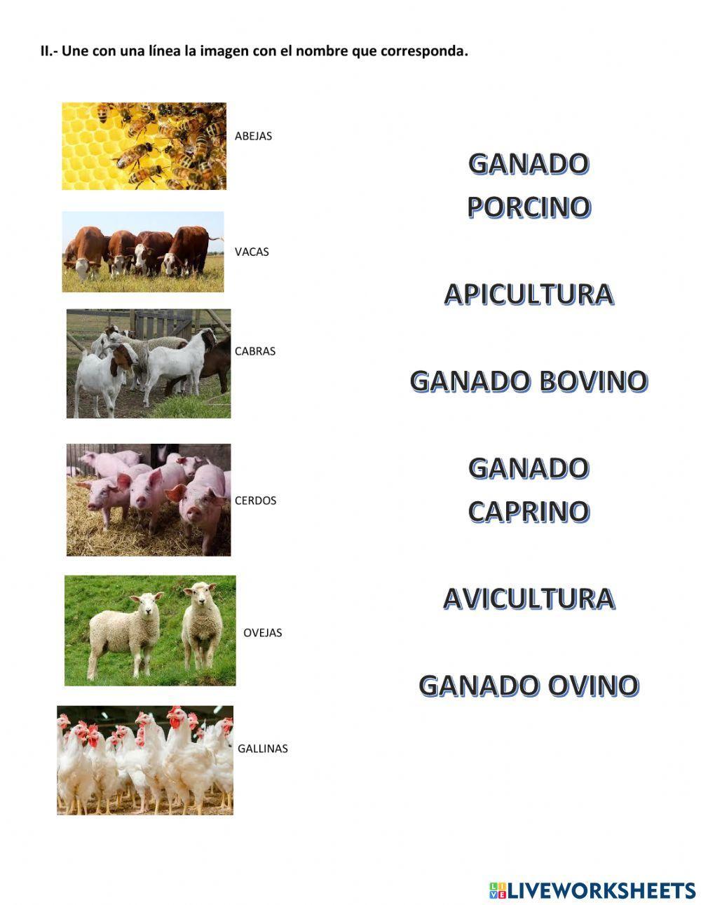 Quiz ganaderia pesca y act forestal