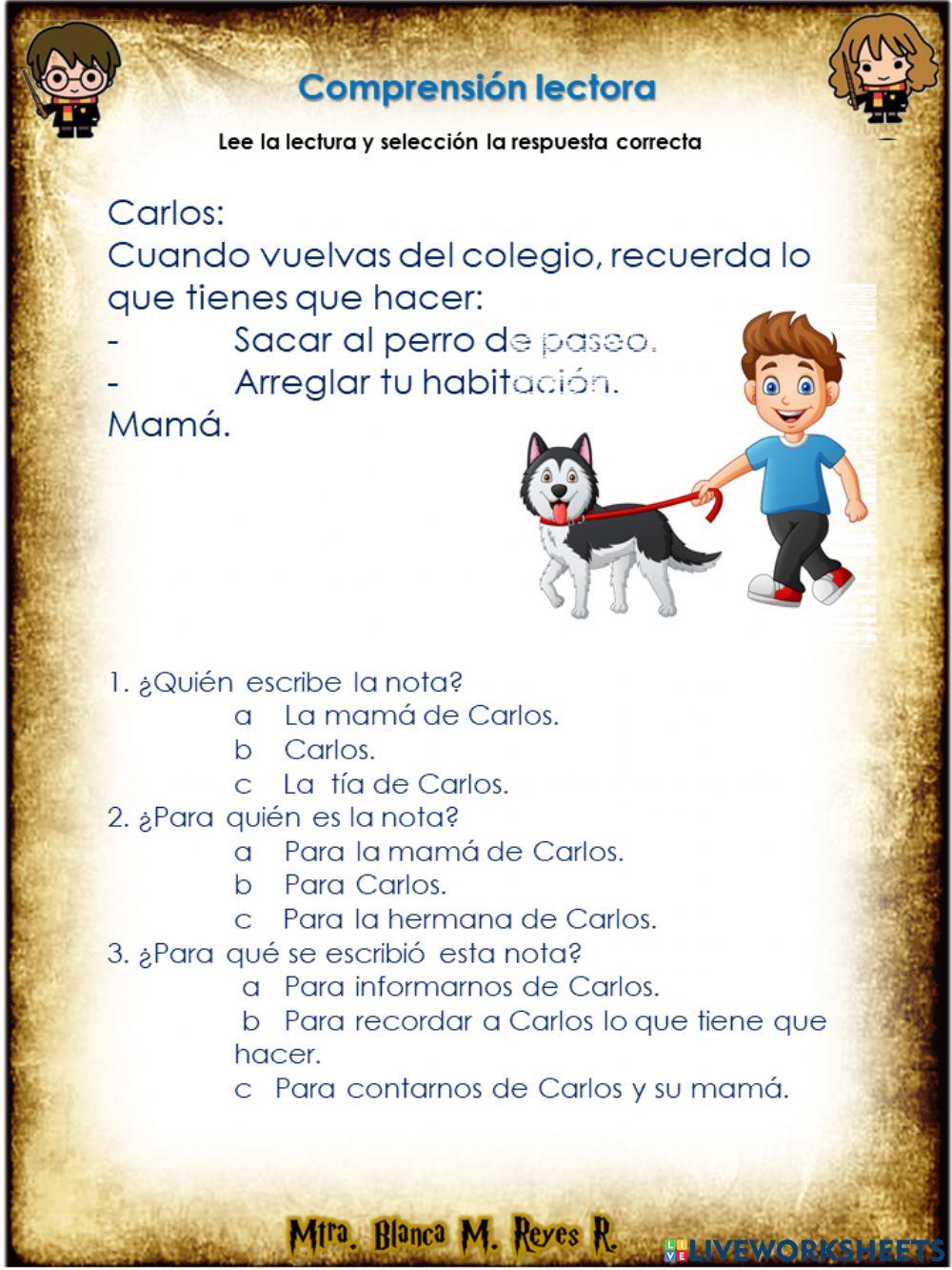 Comprensión lectora