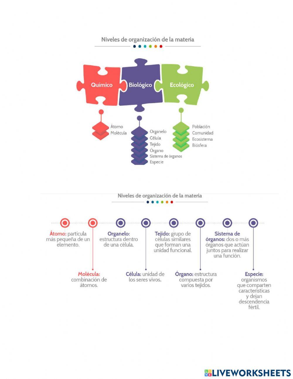 Niveles de organización