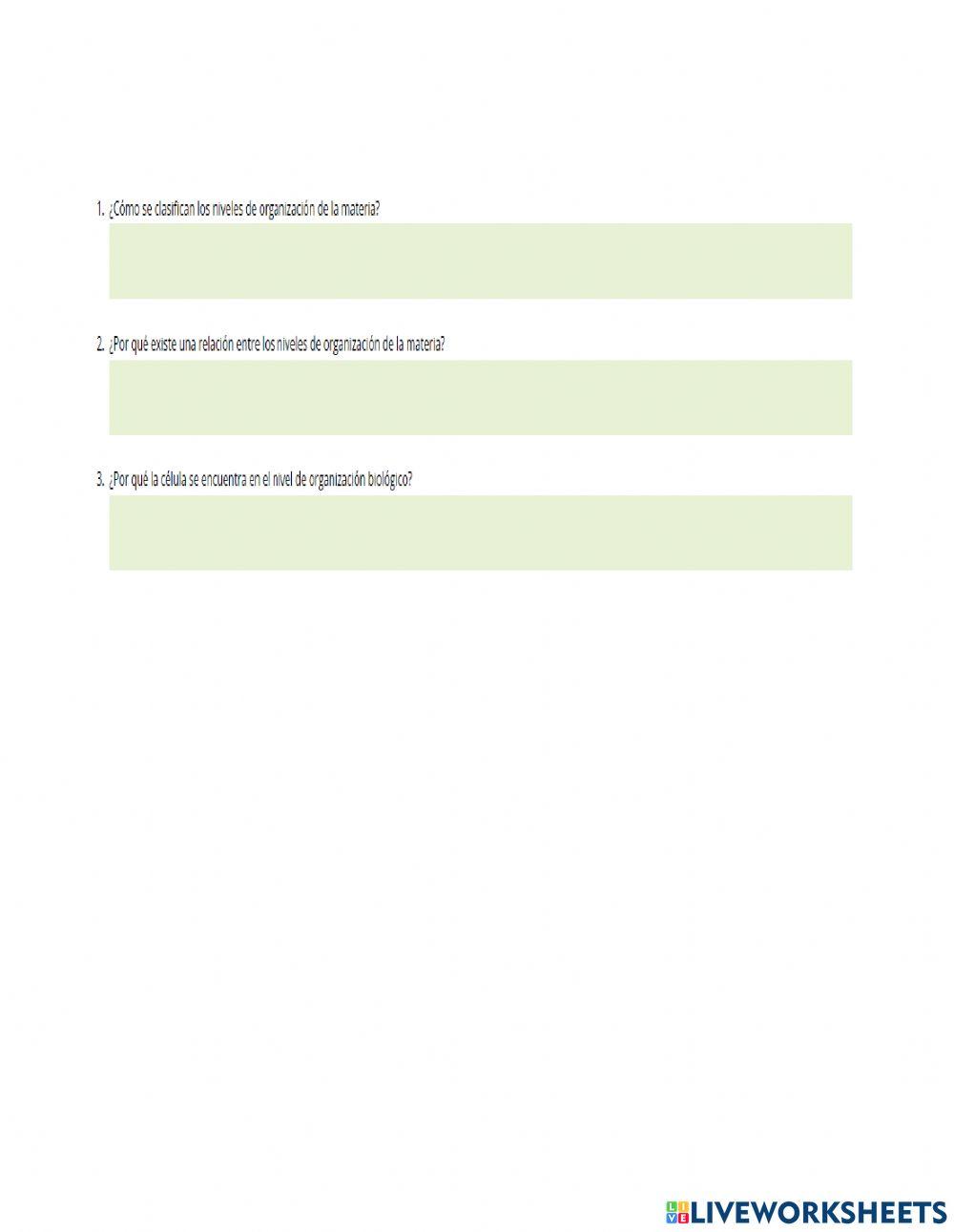 Niveles de organización