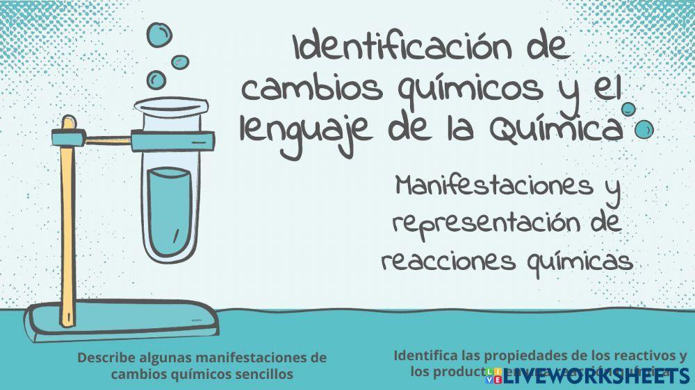 Actividad 2 Manifestaciones y representación de reacciones químicas