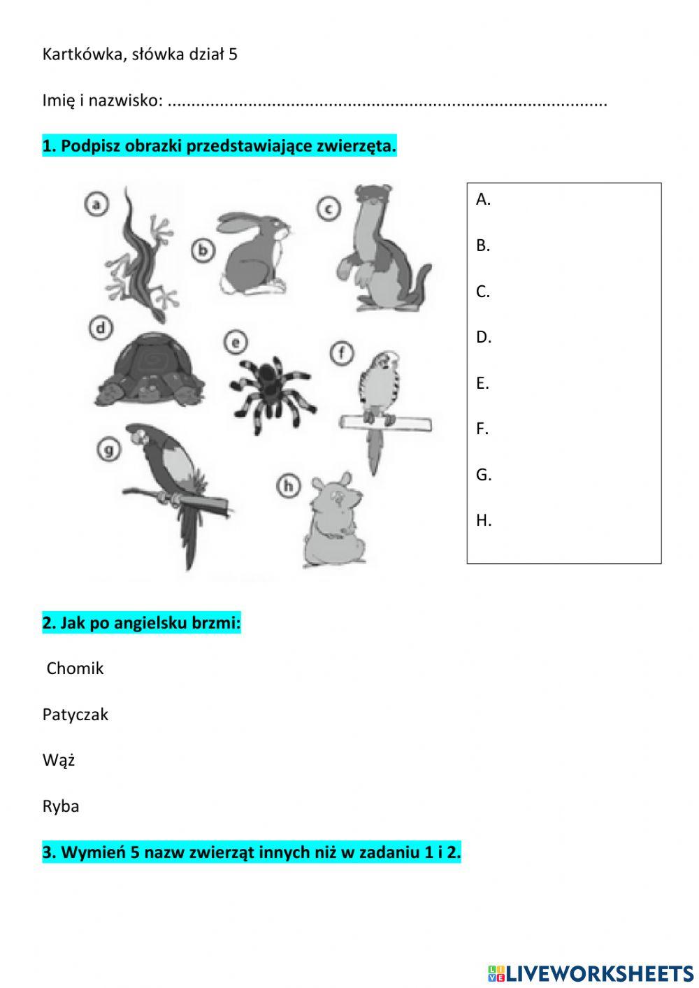 Kartkówka, słówka dział 5