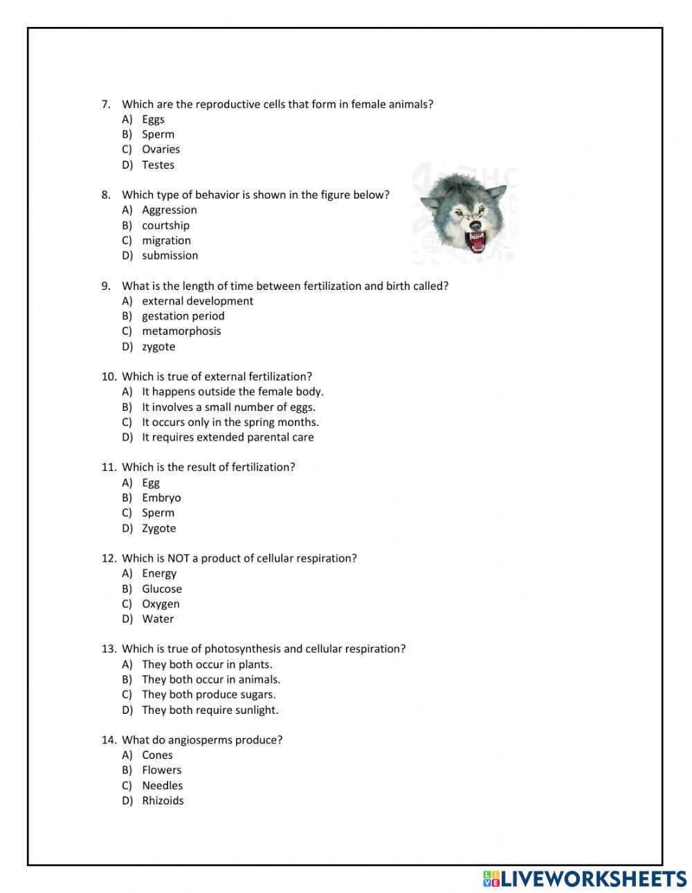 Revision- Term 2 Science