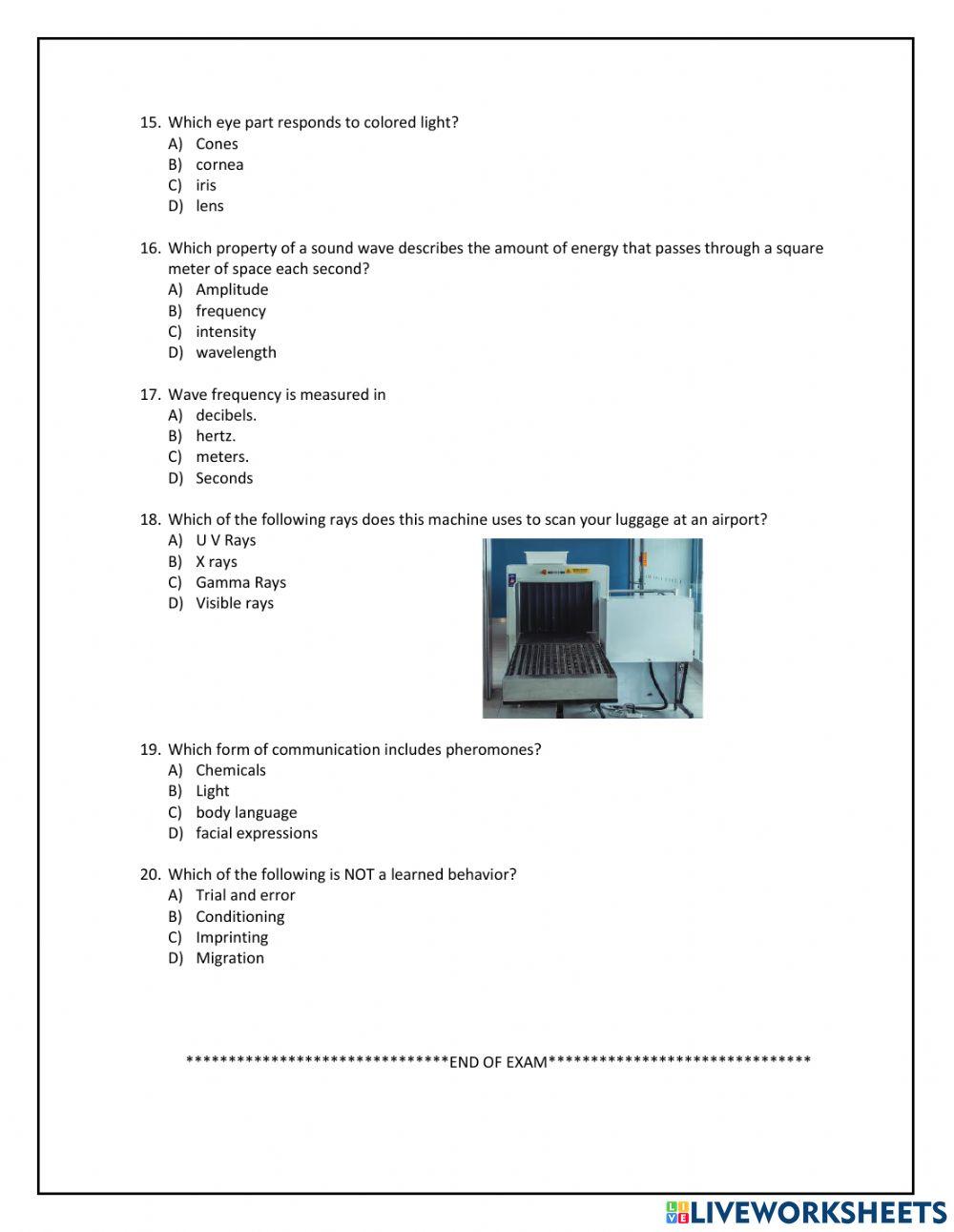 Revision- Term 2 Science