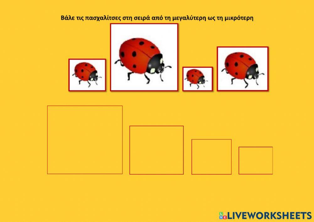 Βα λε τις πασχαλιτσες στη σειρα