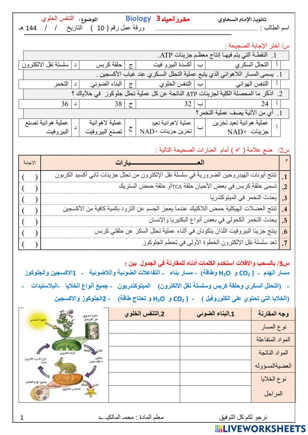 التنفس الخلوي 