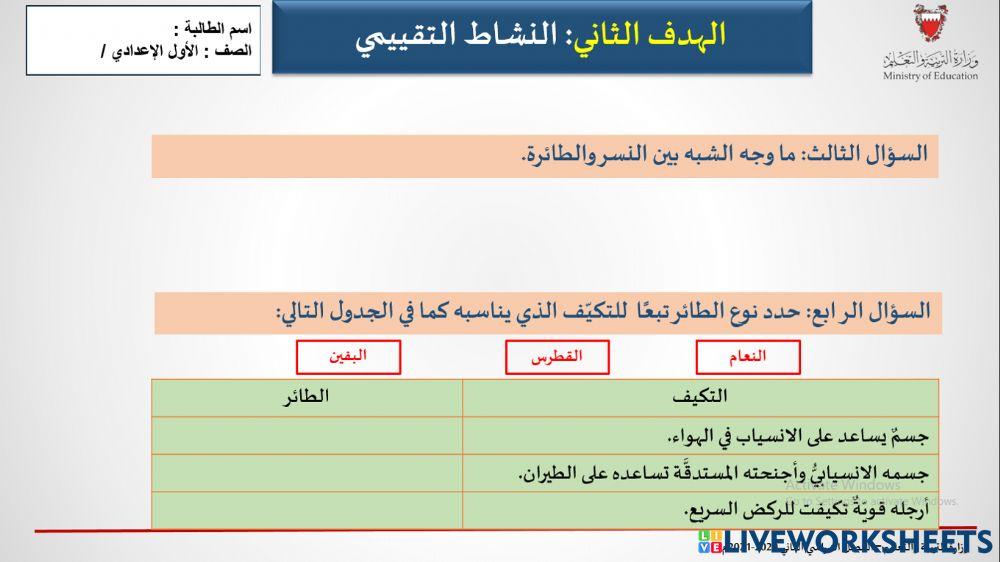 نشاط تكيفات الطيور1