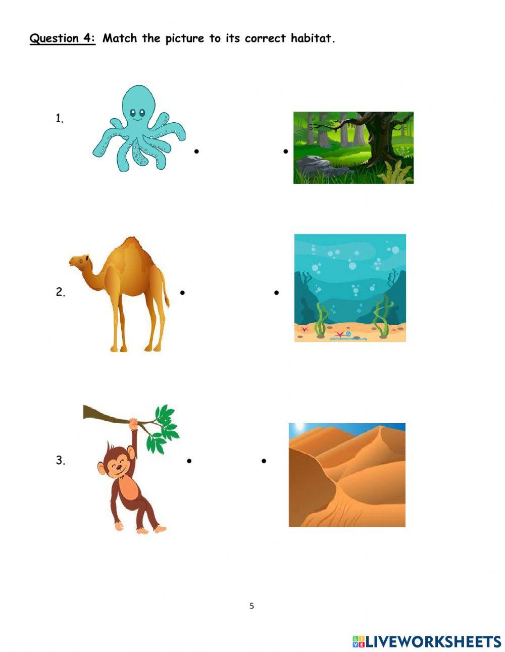 KG 1 Science Term 2 Exam online exercise for Live Worksheets KG 1 Science Term 2 Exam online exercise for Live Worksheets