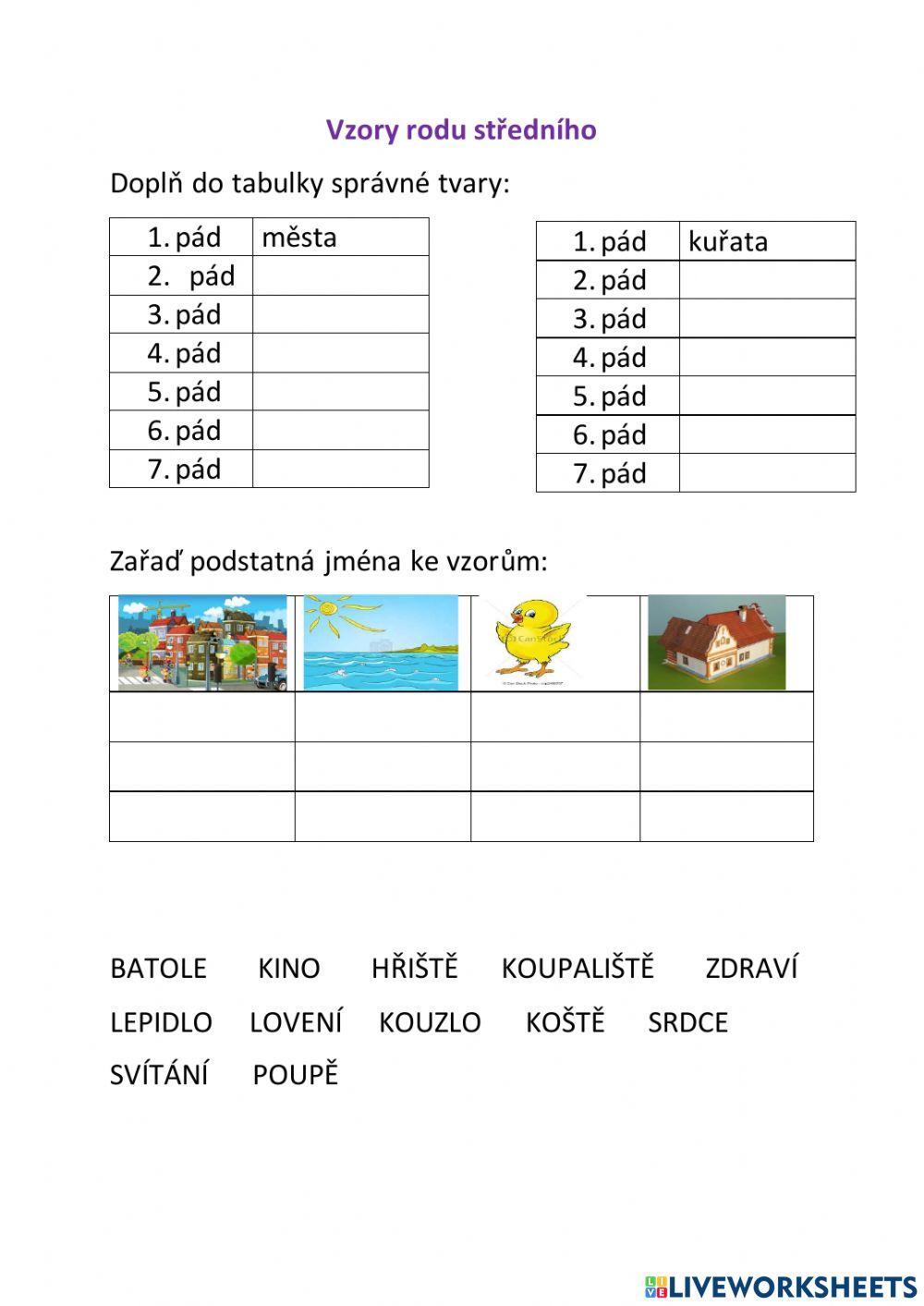 Vzory rodu středního