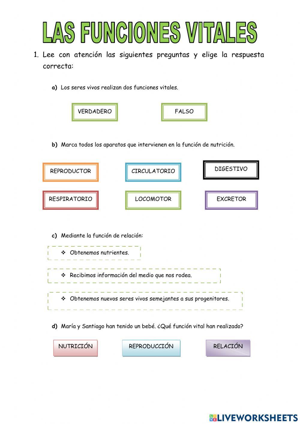 Las funciones vitales