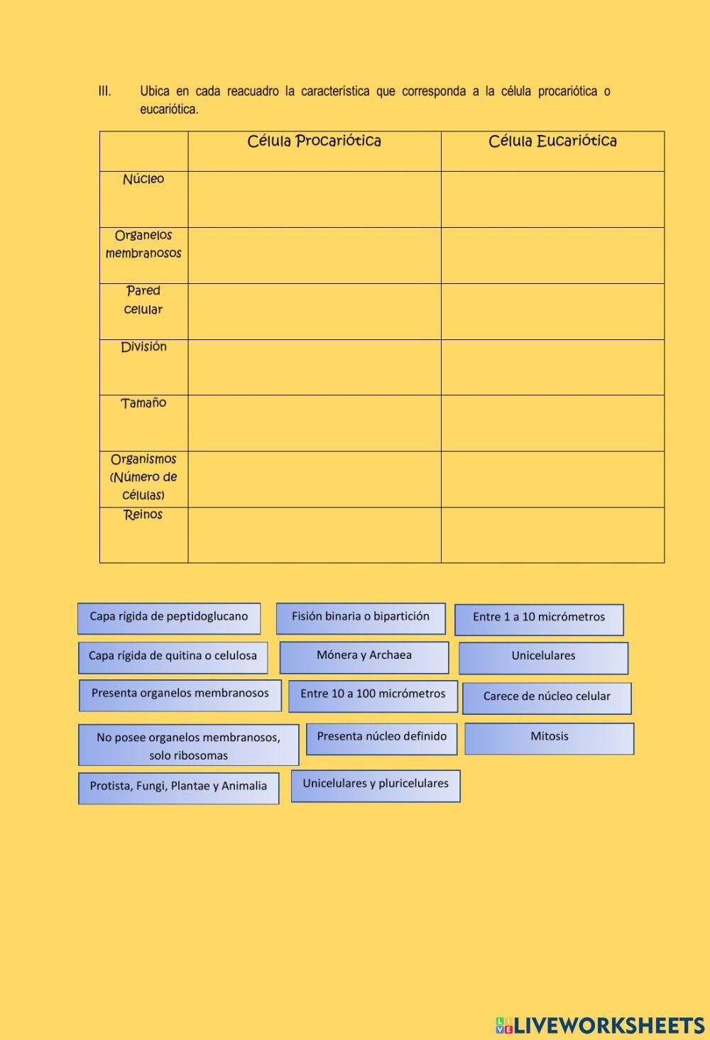 Teoría celular y tipos de células